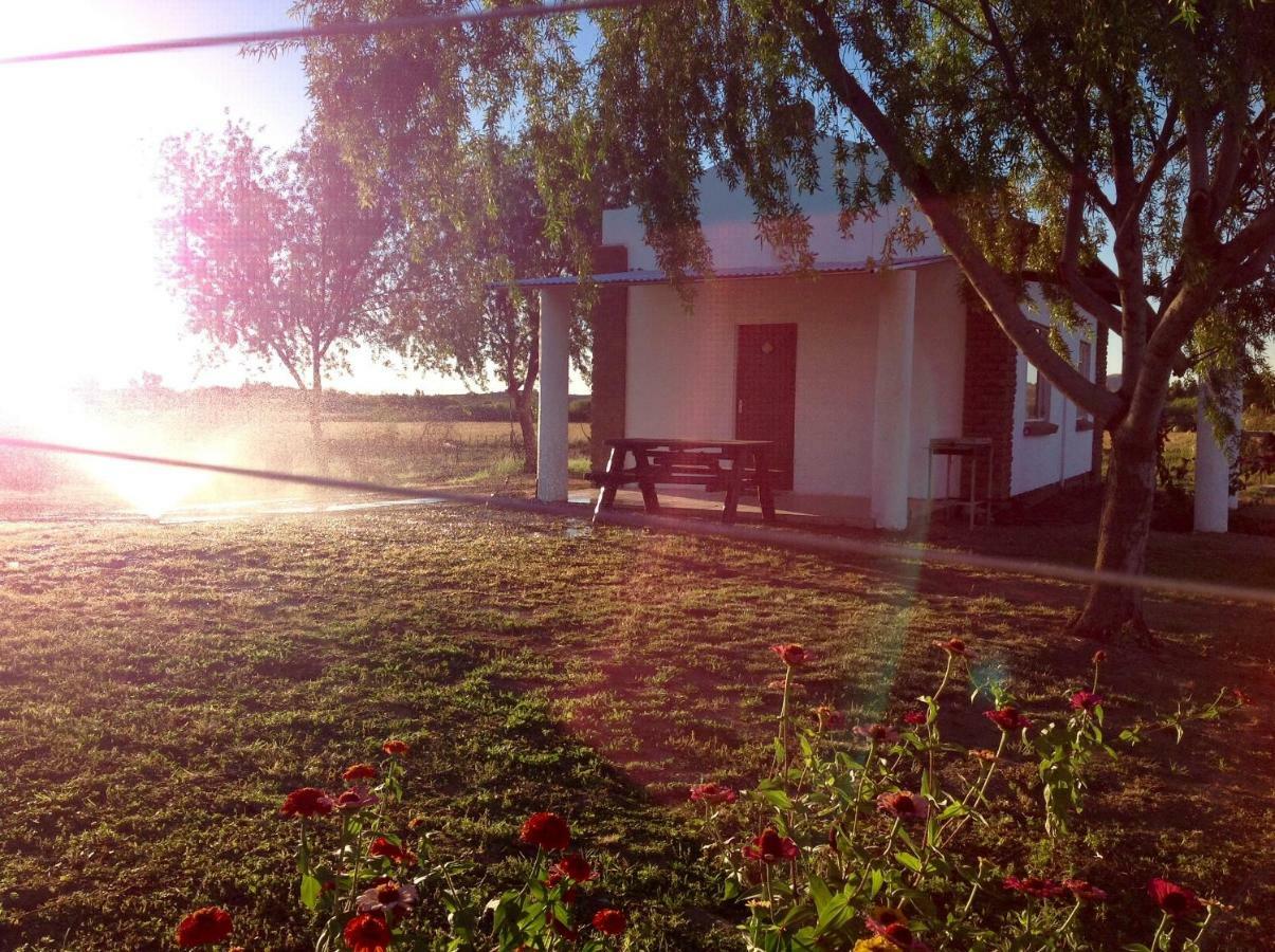 Ditsem Guest Farm Upington Exterior foto